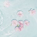 Small pink and white flowers in tirquise blue wavy water. Beautiful flat lay minimal scene. AbstractÃ¢â¬â¹ closeup ofÃ¢â¬â¹Ã¢â¬â¹ blueÃ¢â¬â¹ Royalty Free Stock Photo